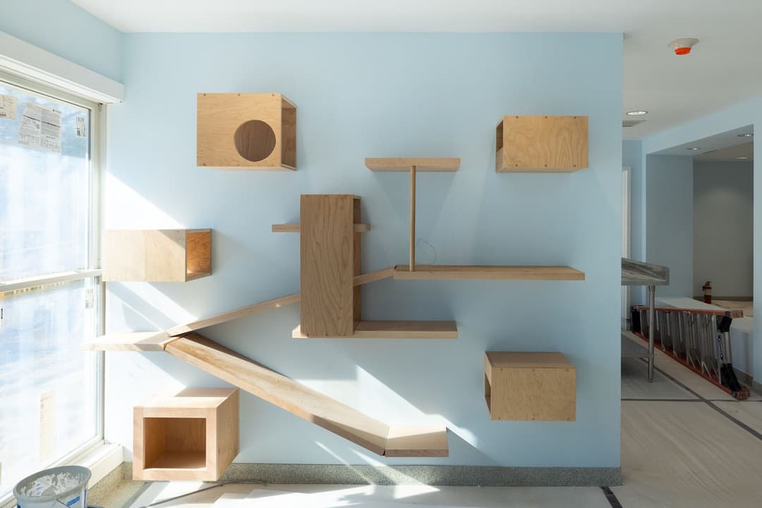 2.11.2023 Cattery Climbing Wall, photo Lena Yaremenko