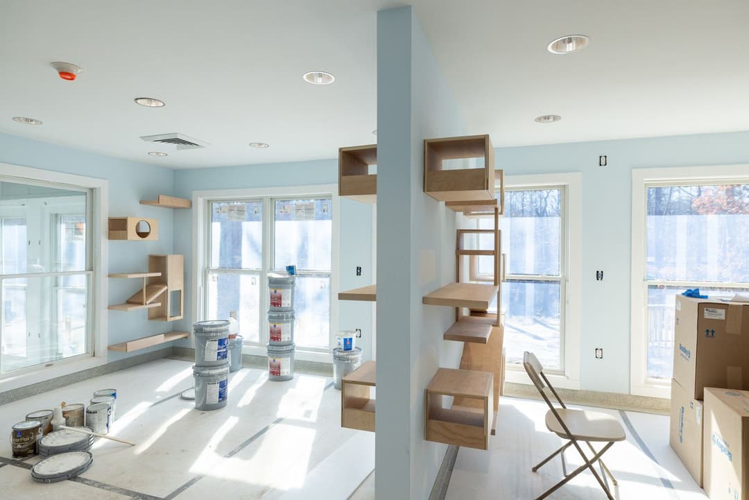 2.11.2023 Catteries, photo Lena Yaremenko