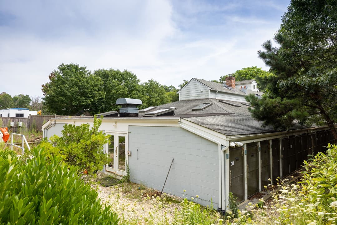 8.7.2021 Kennel NW Corner, photo Lena Yaremenko