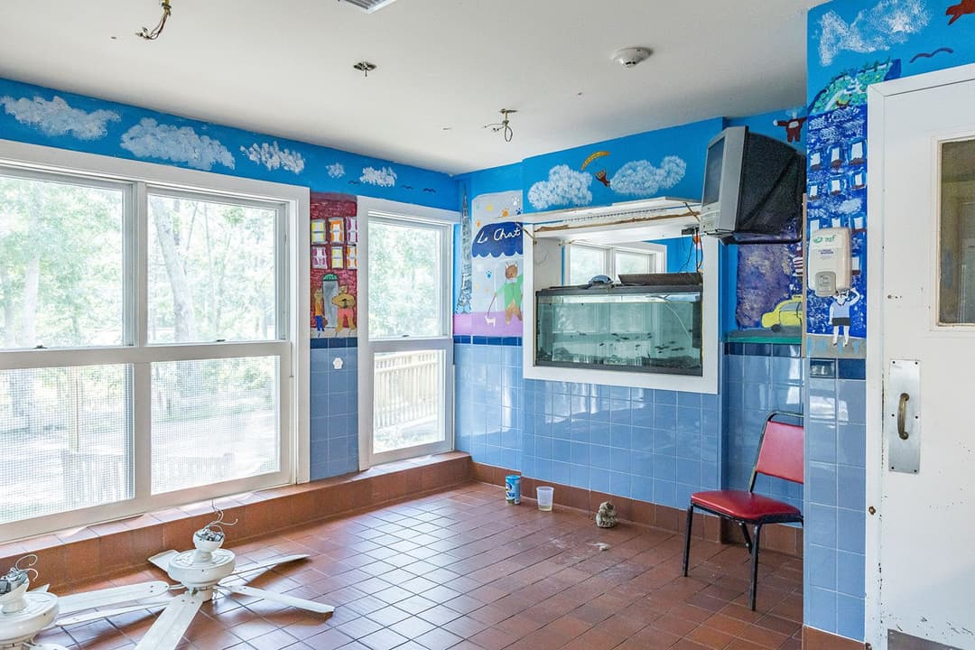 8.7.2021 Left Cattery, photo Lena Yaremenko